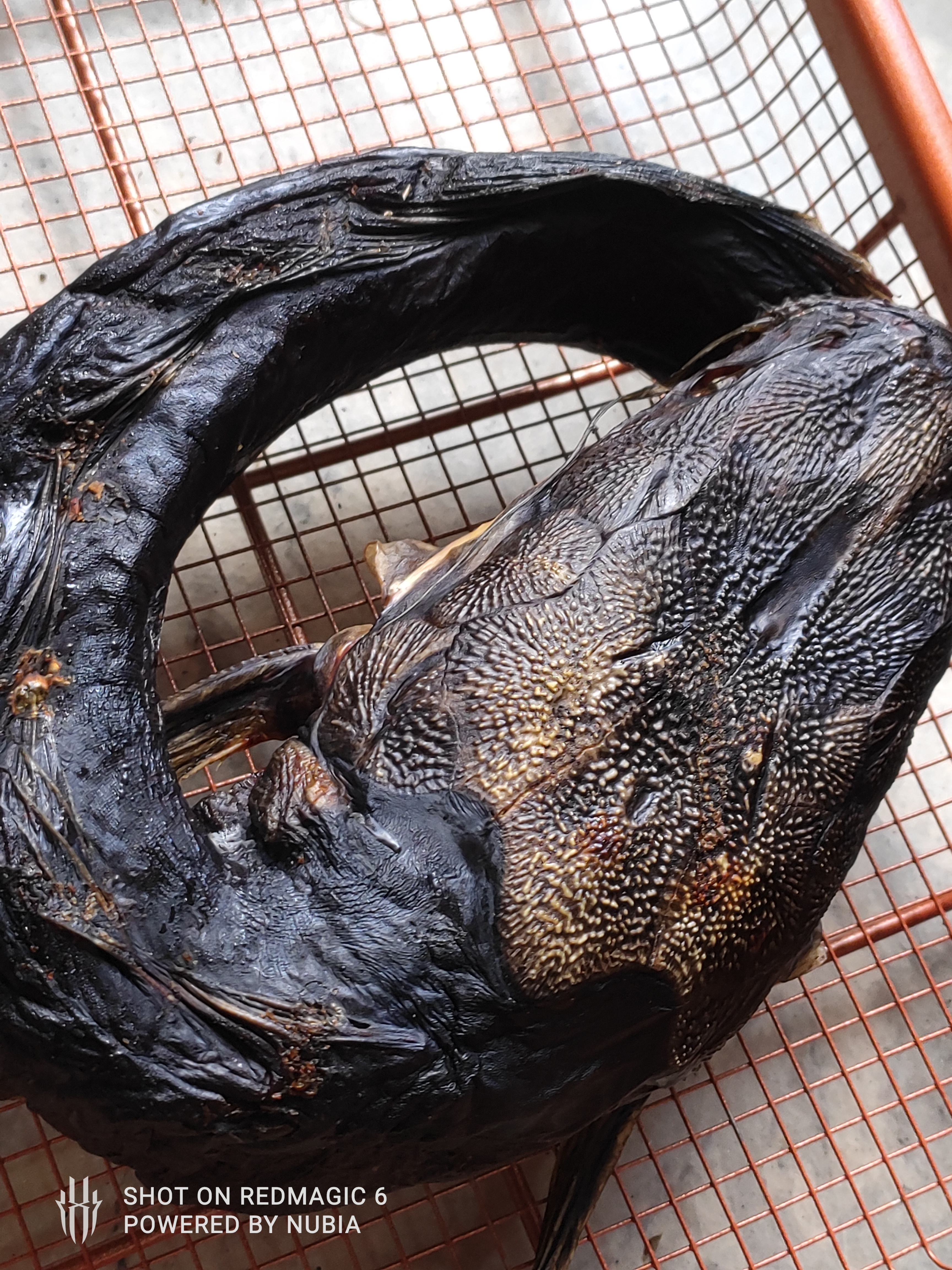 Smoked Catfish