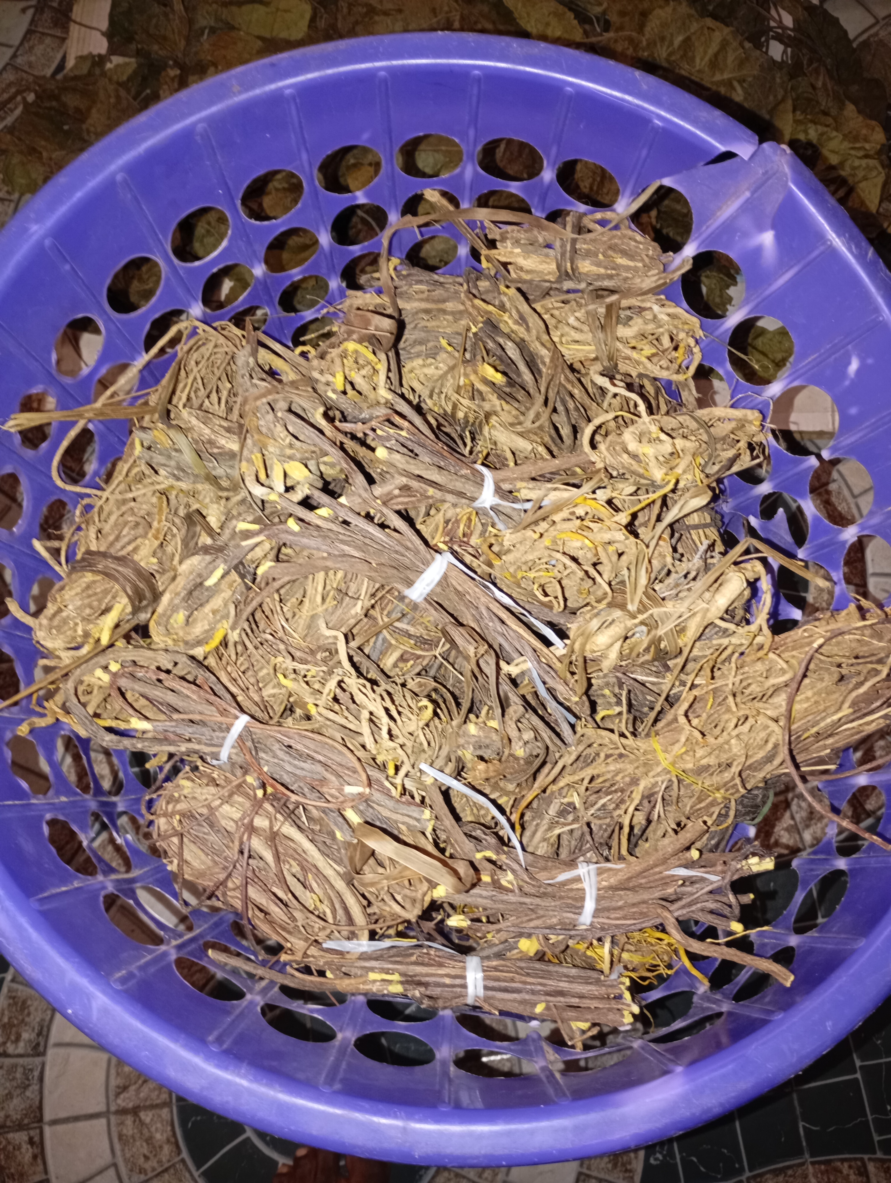 Cryptolepis Sanguinolenta Root