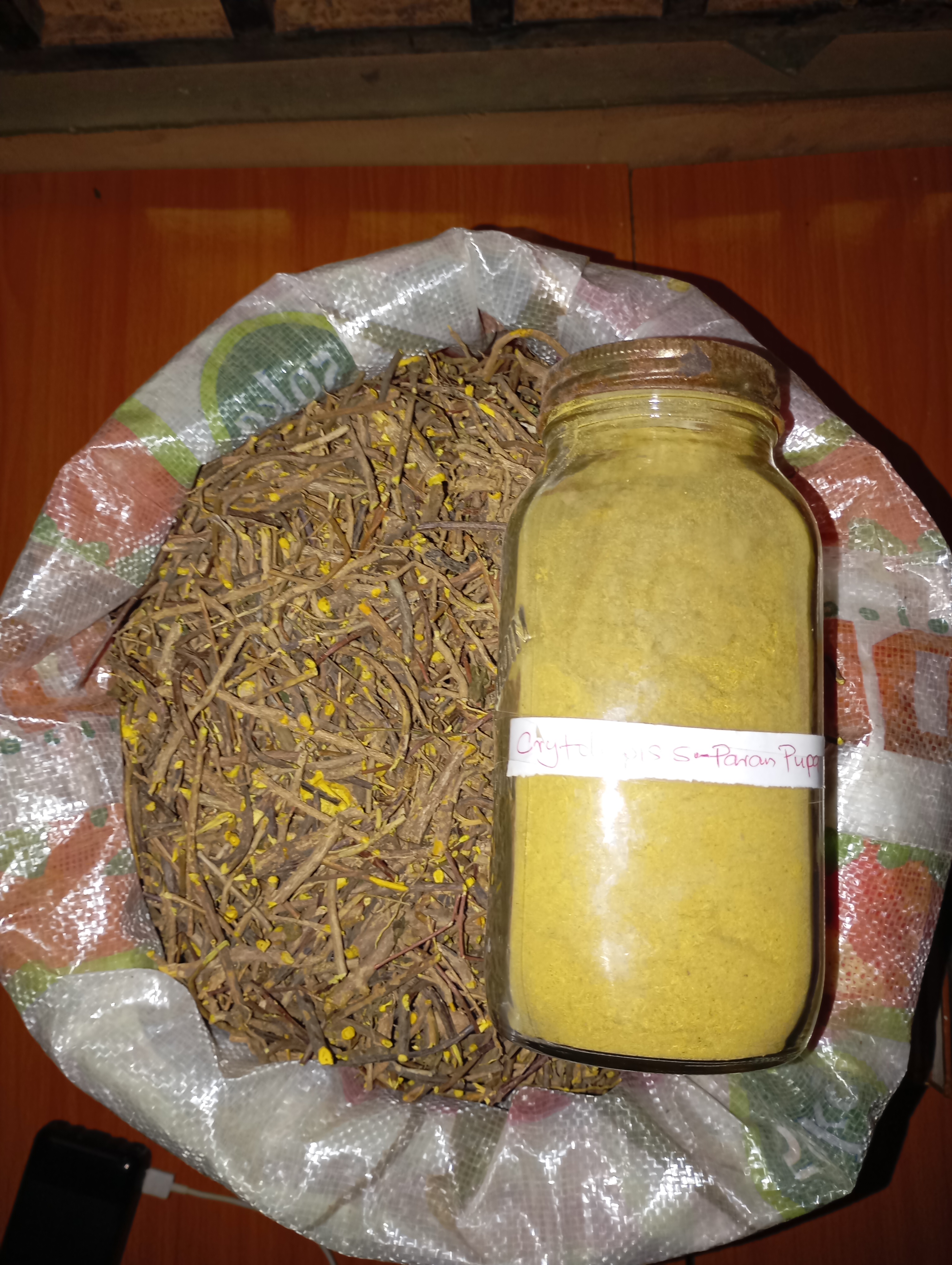 Cryptolepis Sanguinolenta Root